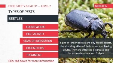 haccp 2 online training 